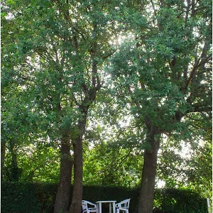  Appartamento Twin Oaks